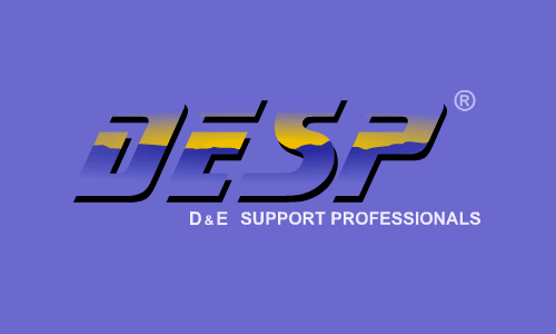 Visia flash gallery: D&E Support Professionals